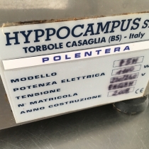 Thumb1-Hyppocampus P5 Pr 391 08